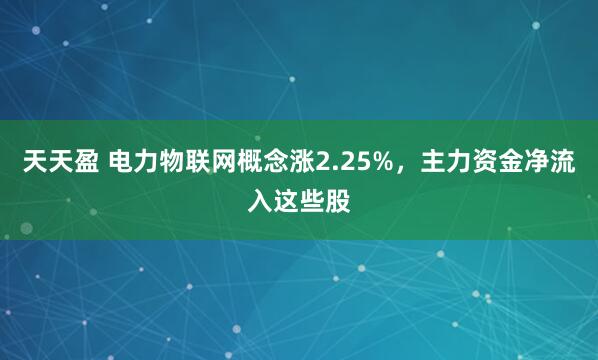 天天盈 电力物联网概念涨2.25%，主力资金净流入这些股