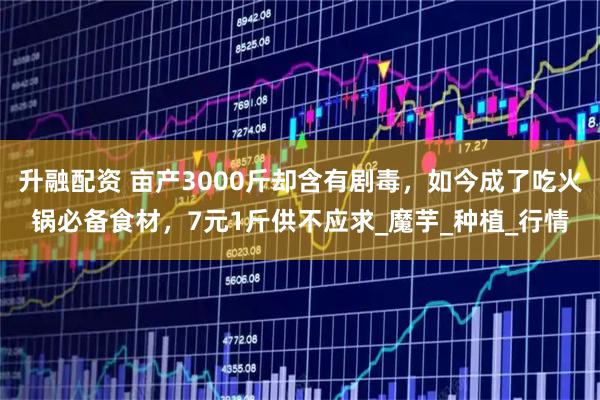 升融配资 亩产3000斤却含有剧毒,如今成了吃火锅必备食材,7元1斤供不应求_魔芋_种植_行情