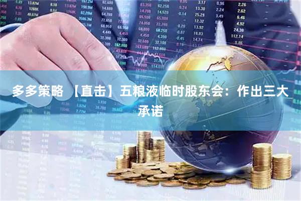 多多策略 【直击】五粮液临时股东会：作出三大承诺