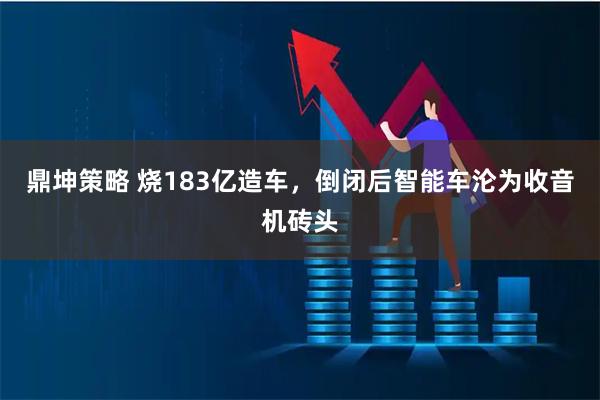 鼎坤策略 烧183亿造车，倒闭后智能车沦为收音机砖头